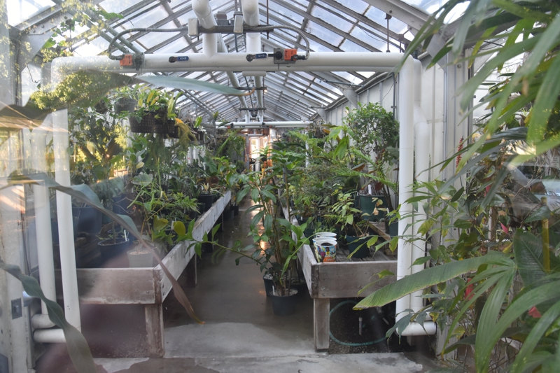 Greenhouses Sacramento State